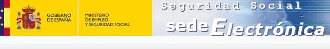 SS vida laboral