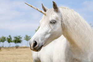 Qué son los unicornios empresariales y otros animales mitológicos corporativos